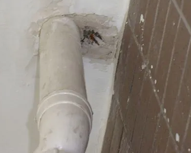 平房漏水检测哪家好